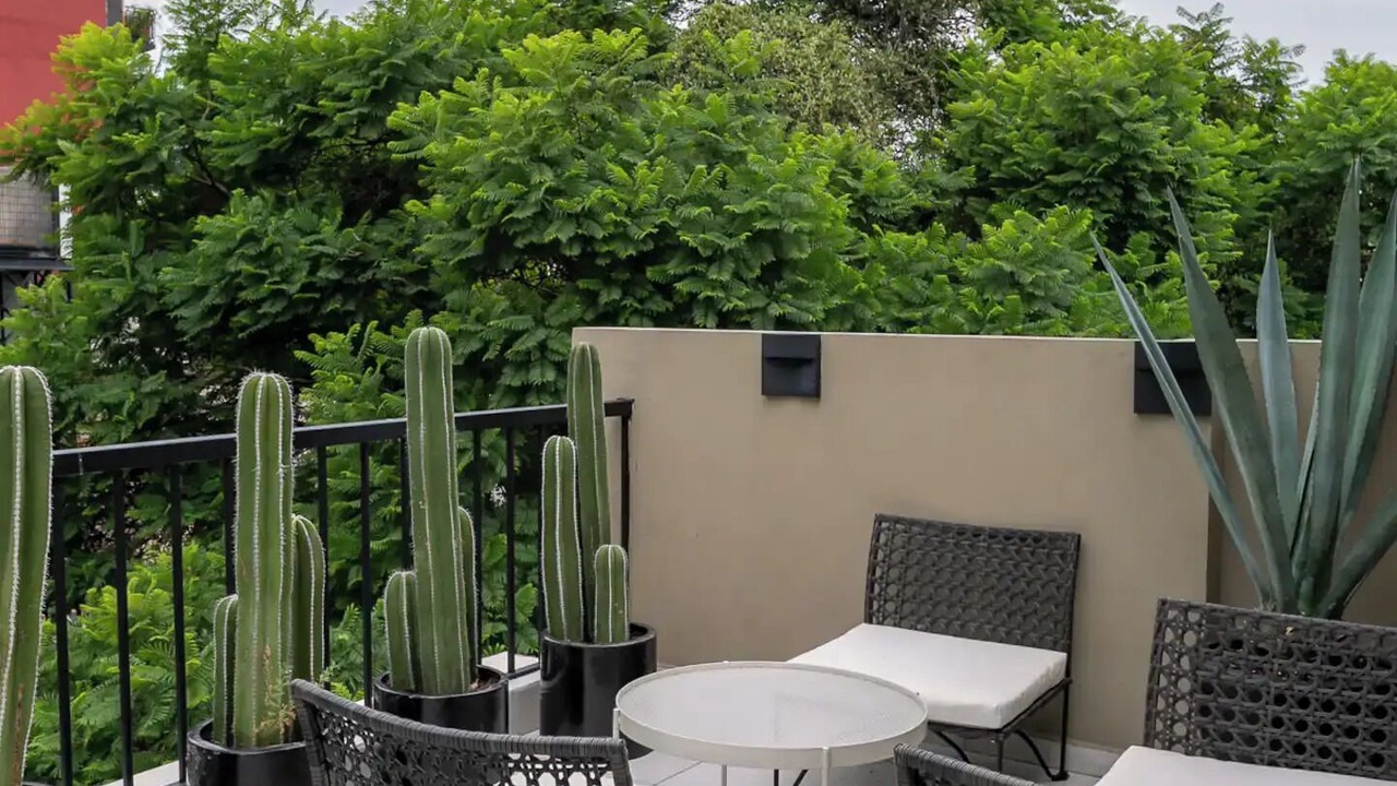 Photo of Patio Balcony in Colonia Roma