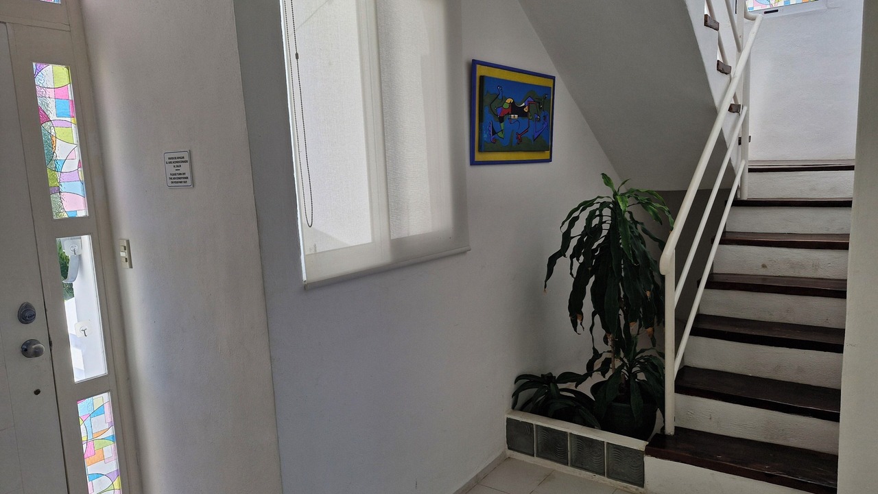 Photo of Others in Puerto Morelos