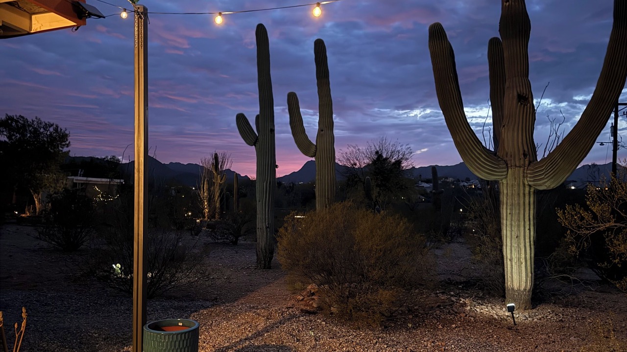 Photo of Others in Tucson
