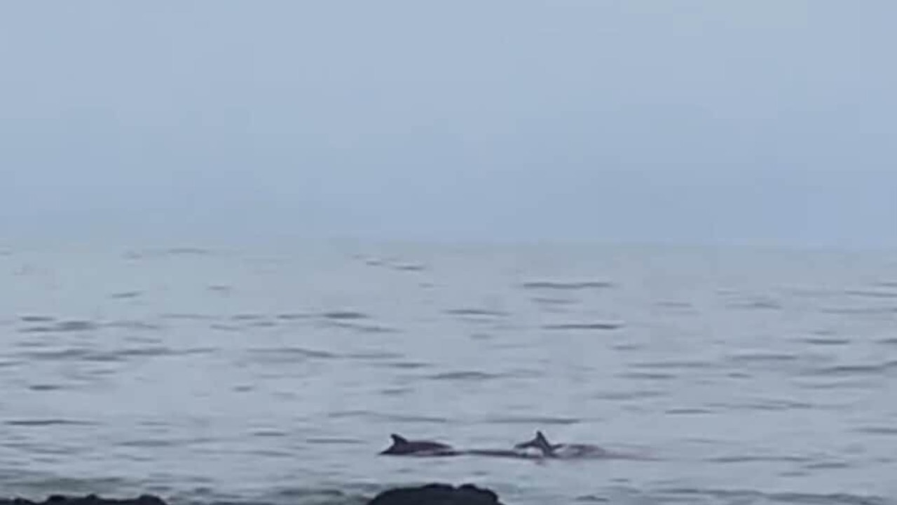 Photo of Others in Playa Encantada