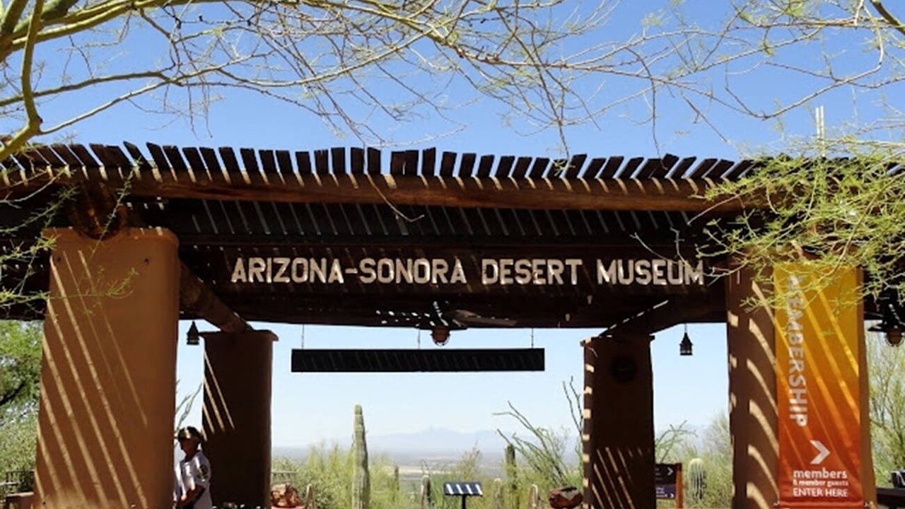 Photo of Others in Tucson