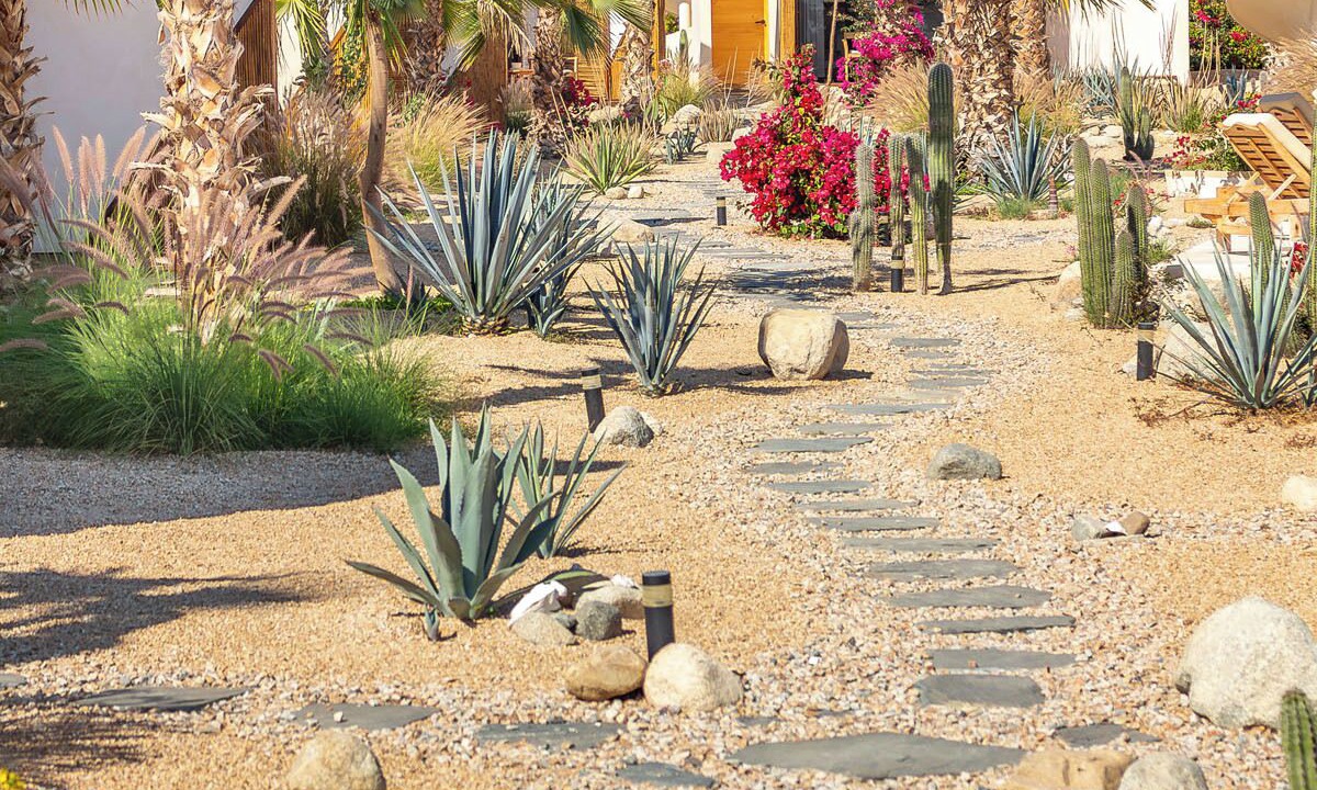 Photo of Outdoor in El Pescadero