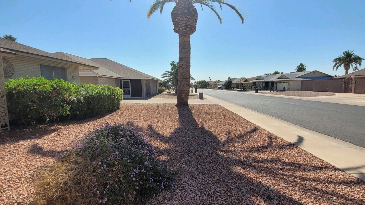 Photo of Outdoor in Sun City West