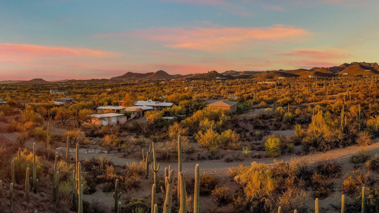 Photo of Others in Tucson
