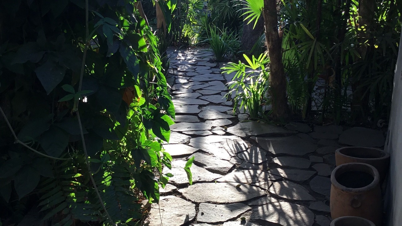 Photo of Outdoor in Santa Cruz