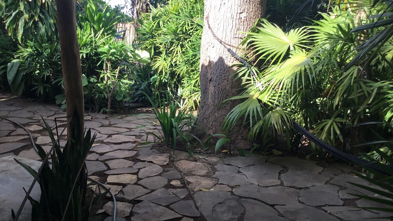 Photo of Outdoor in Santa Cruz