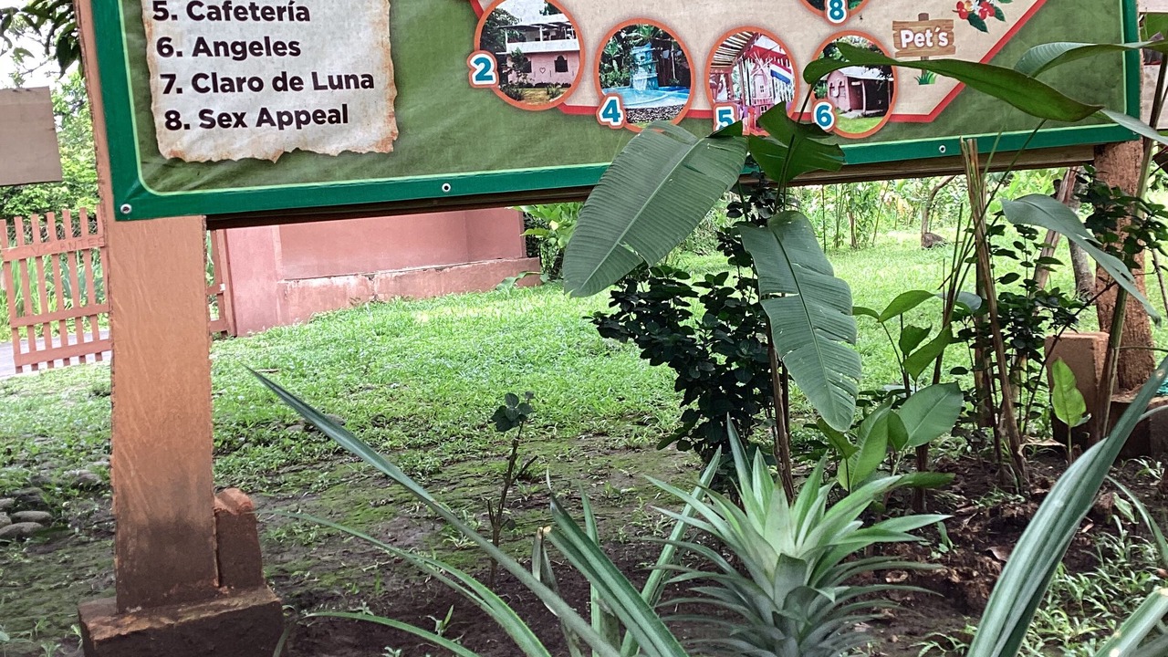 Photo of Outdoor in Tuxtla Chico