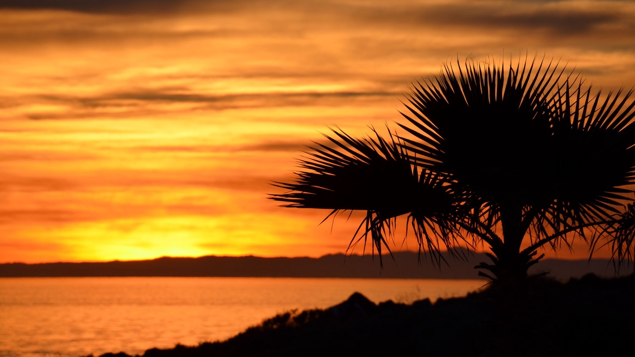 Photo of Others in Puerto Penasco
