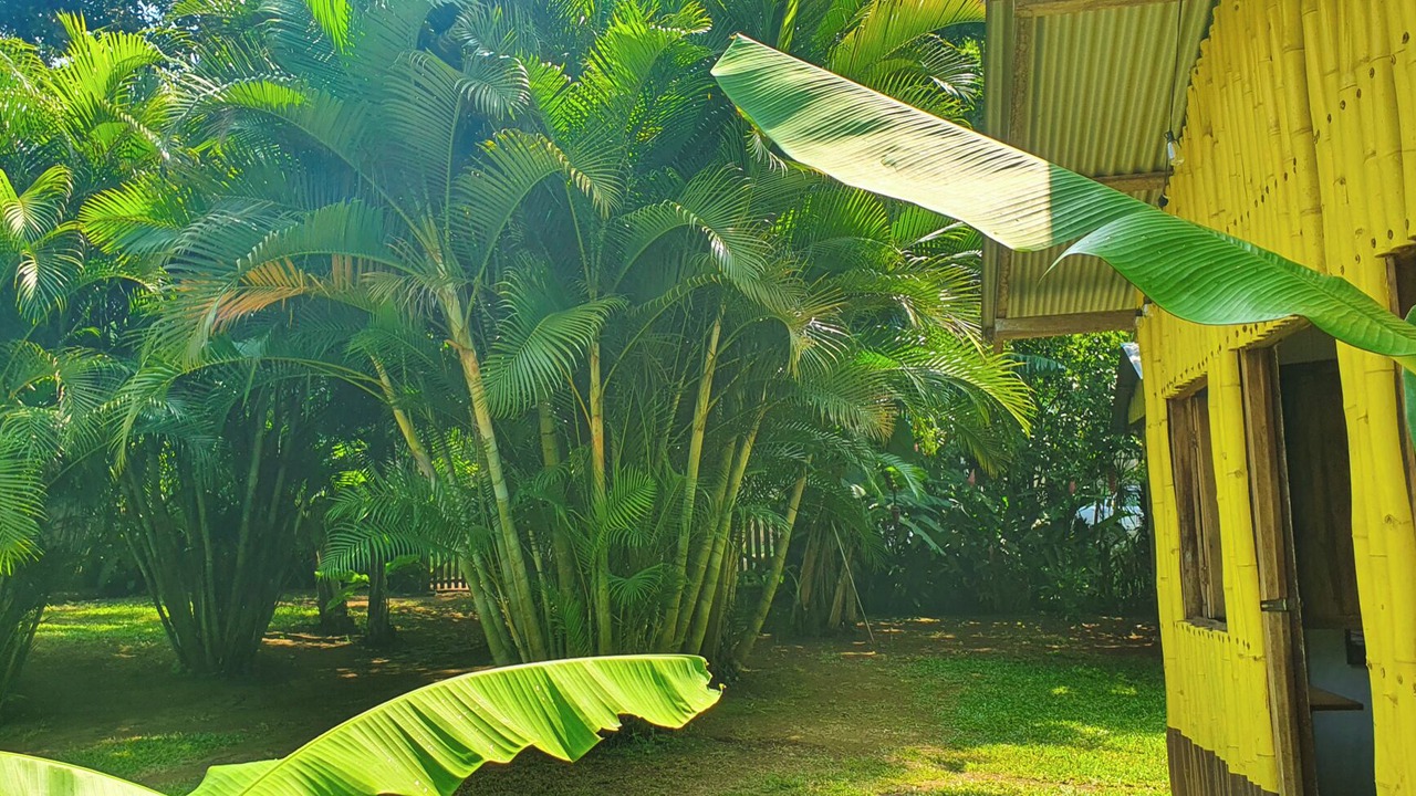 Photo of Outdoor in Catemaco