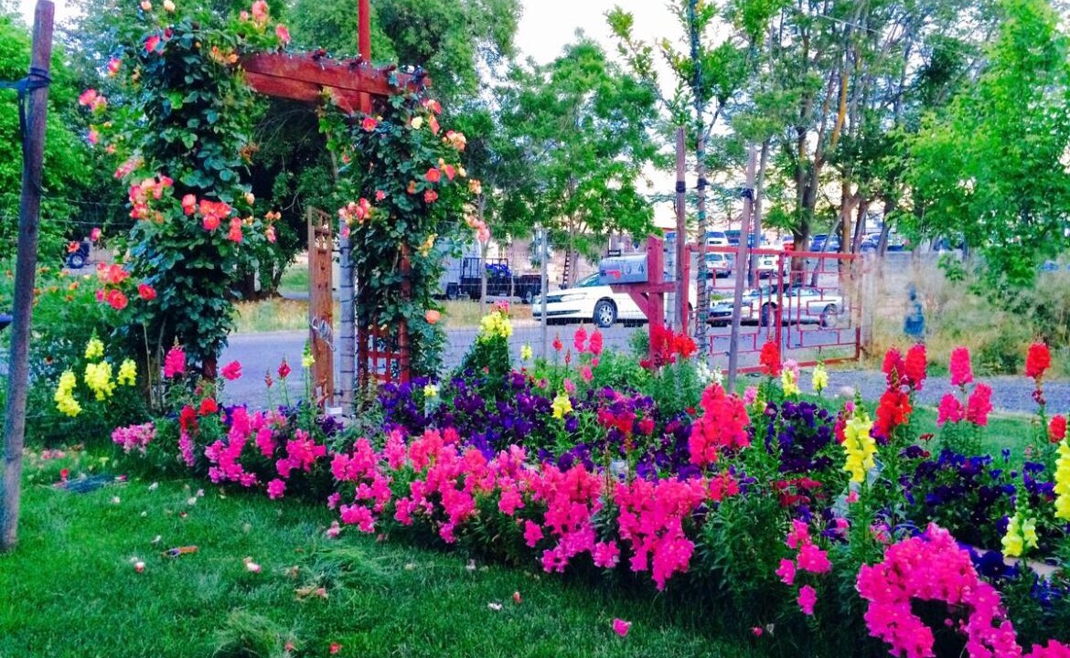 Photo of Outdoor in Cottonwood