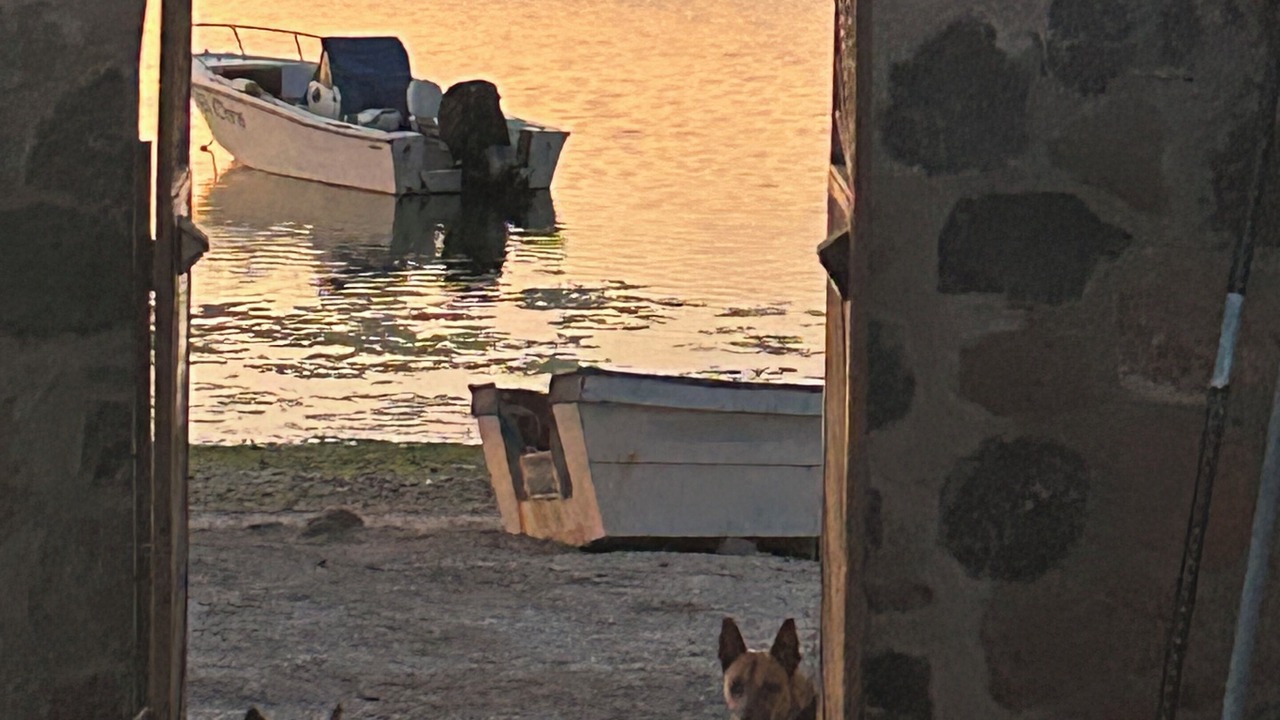 Photo of Others in Ejido San Lucas