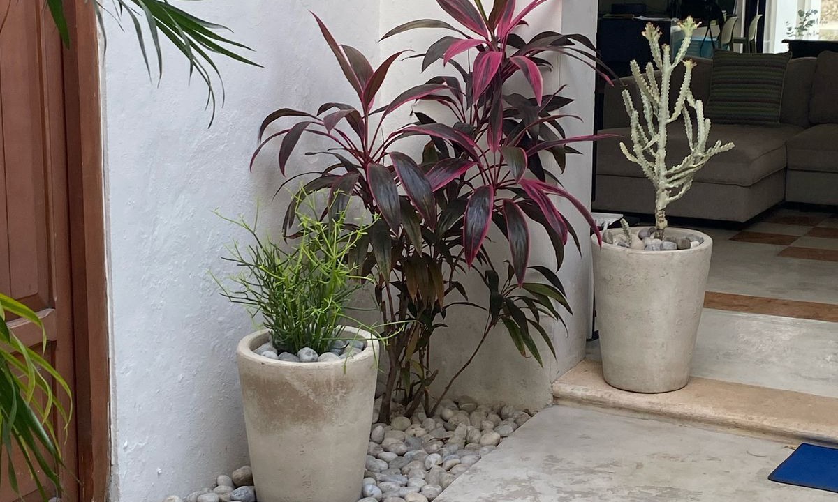 Photo of Outdoor in Barrio de Santiago