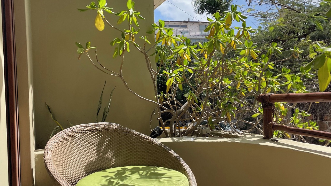 Photo of Patio Balcony in Downtown