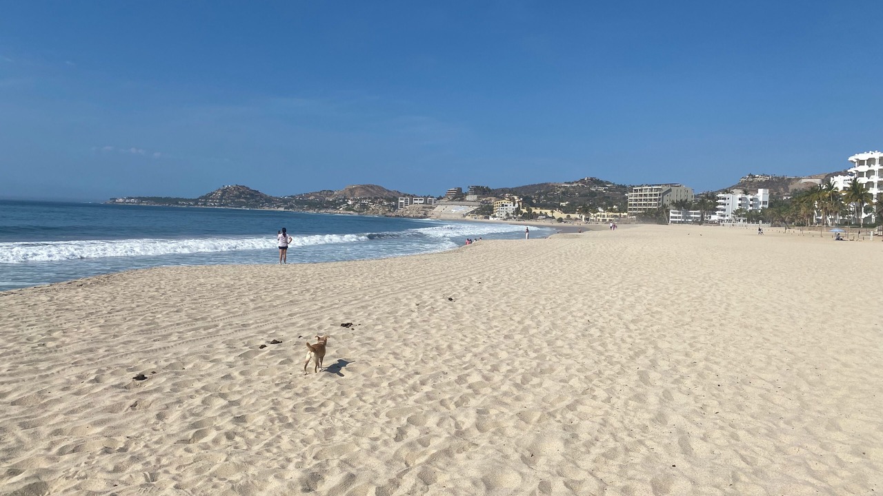 Photo of Others in San Jose del Cabo