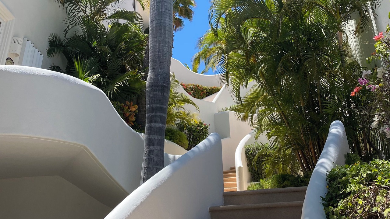 Photo of Others in San Jose del Cabo