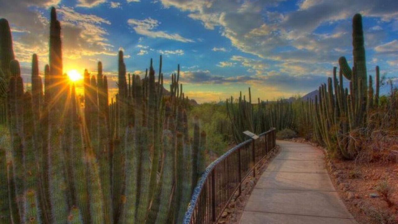 Photo of Others in Papago Parkway