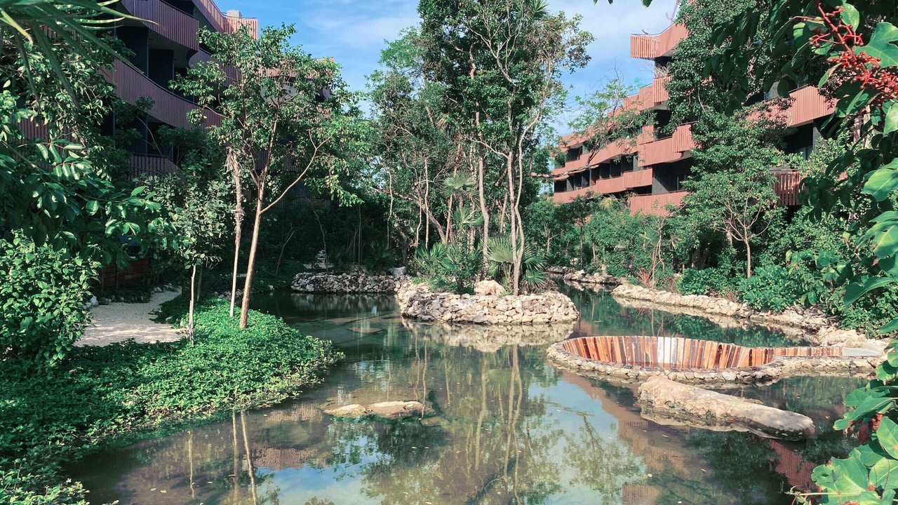 Photo of Outdoor in Playa Paraiso
