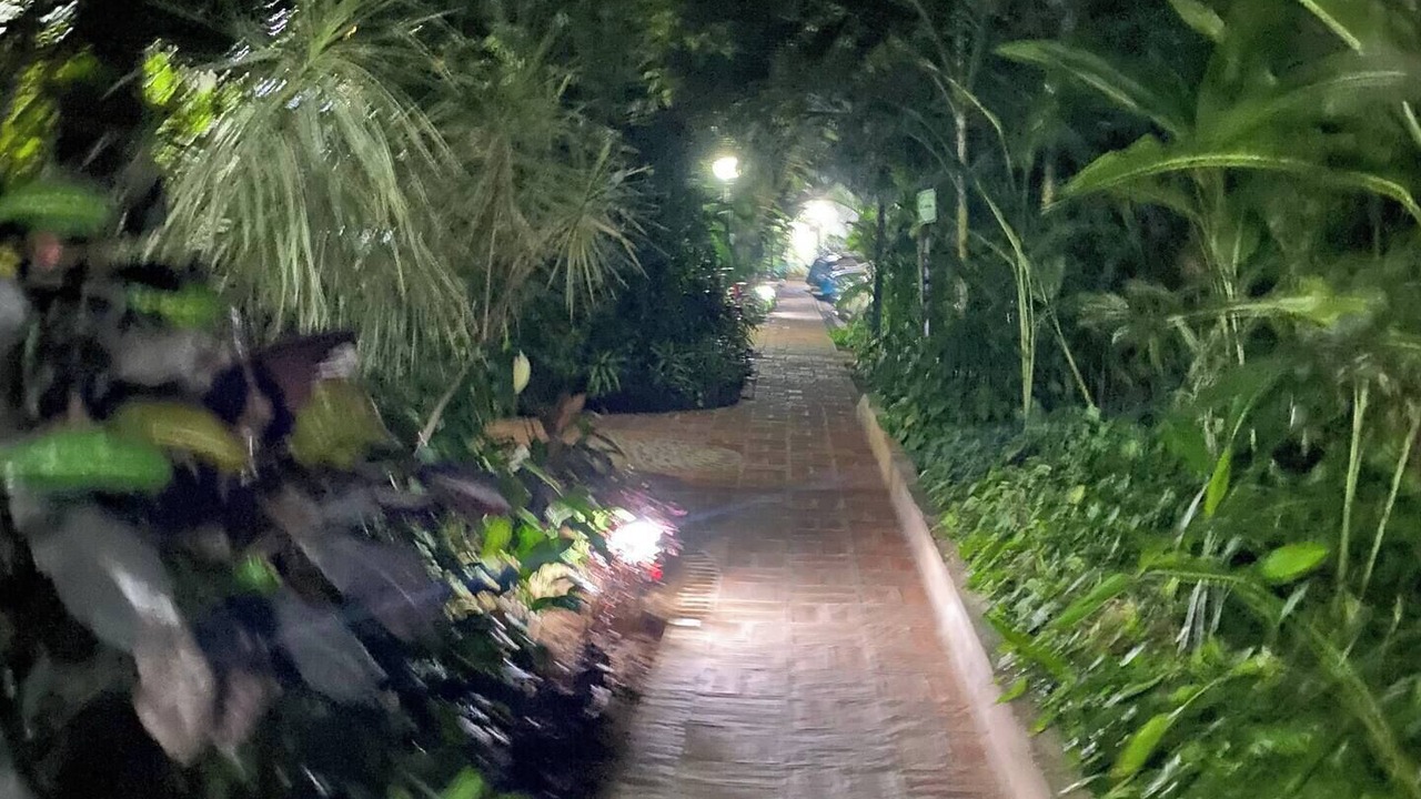 Photo of Outdoor in Fluvial Vallarta
