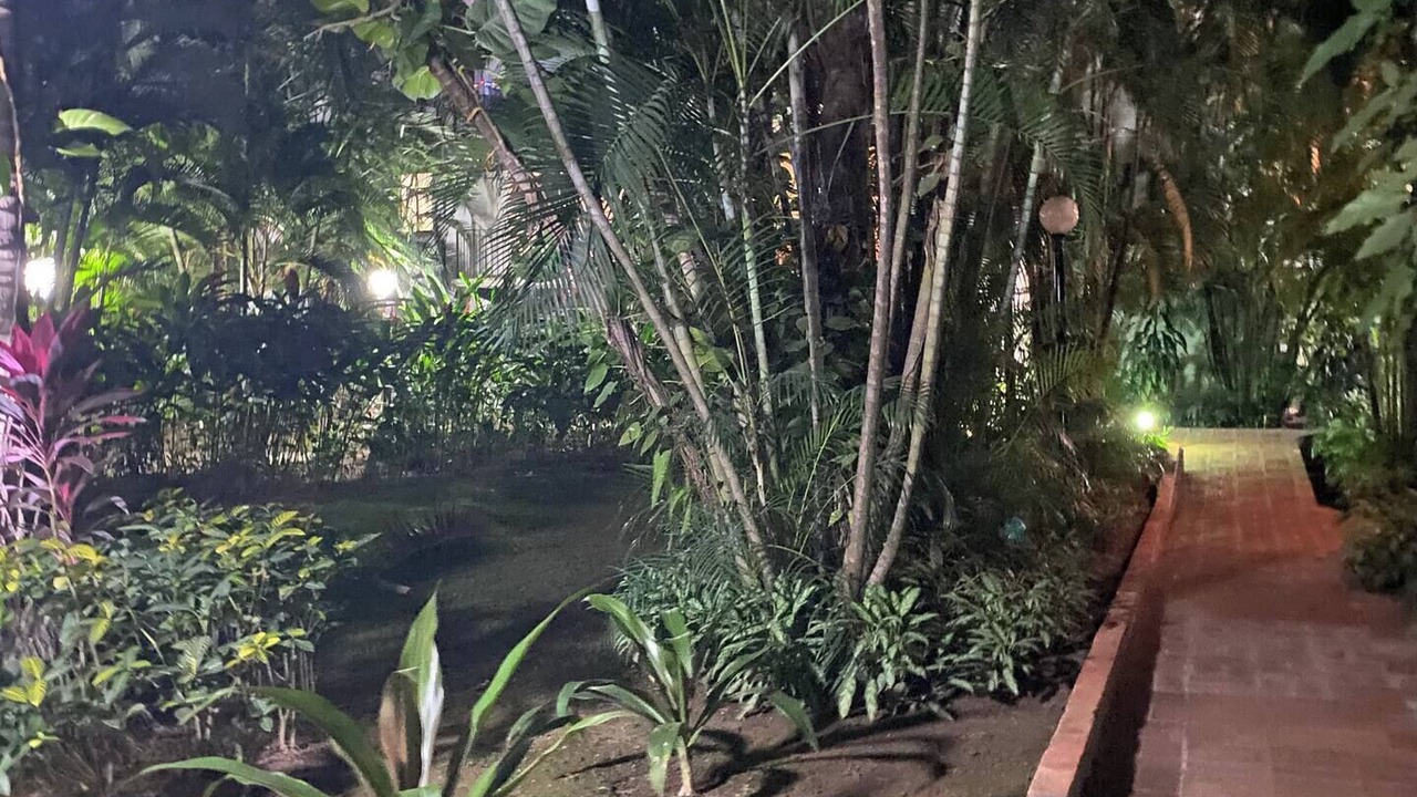 Photo of Outdoor in Fluvial Vallarta