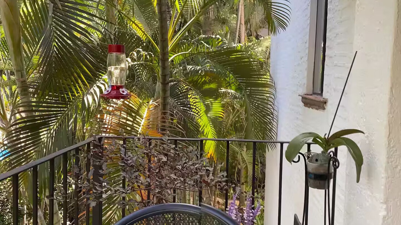 Photo of Patio Balcony in Fluvial Vallarta