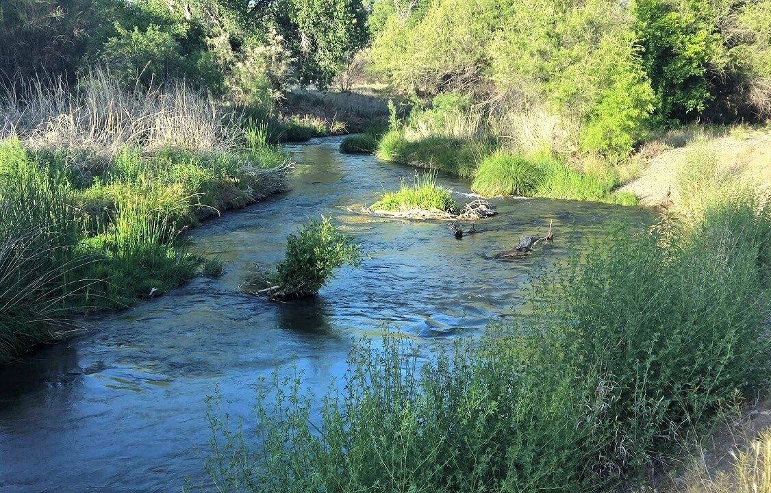 Photo of Others in Cottonwood-Verde Village