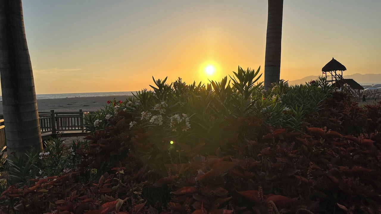 Photo of Others in Nuevo Vallarta