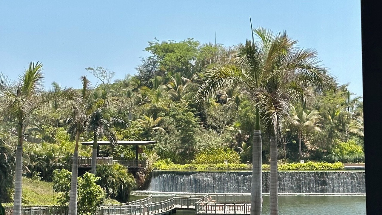 Photo of Others in Nuevo Vallarta