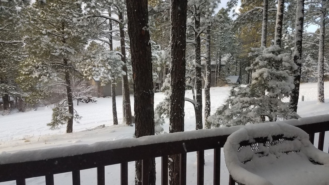 Photo of Others in Flagstaff
