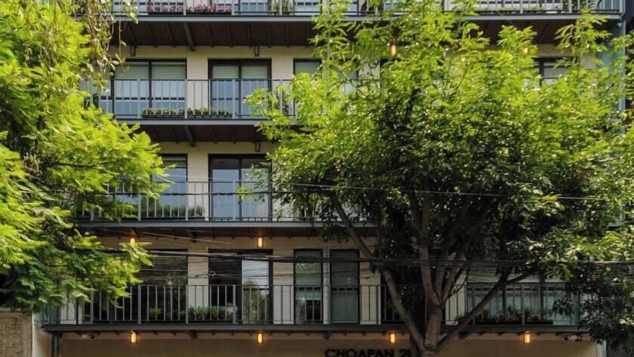 Photo of Others in La Condesa