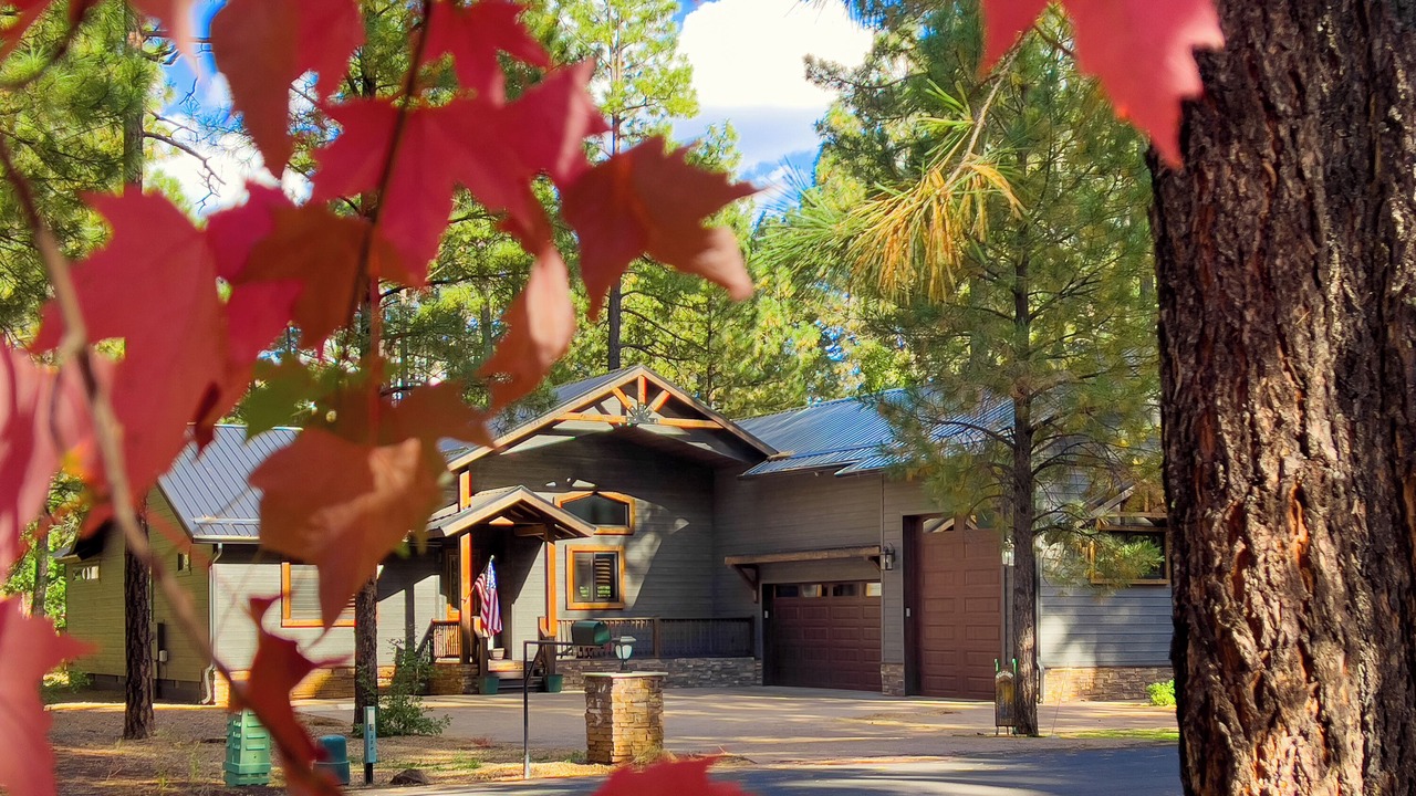 Photo of Outdoor in Pinetop