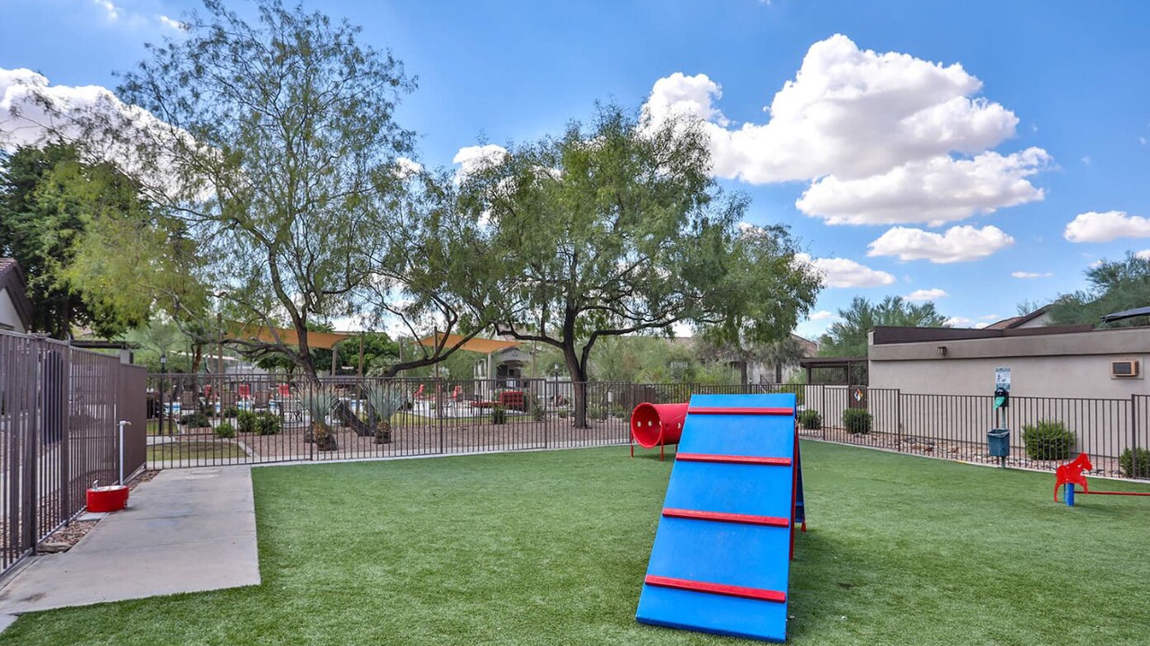 Photo of Outdoor in McDowell Mountain Apartments