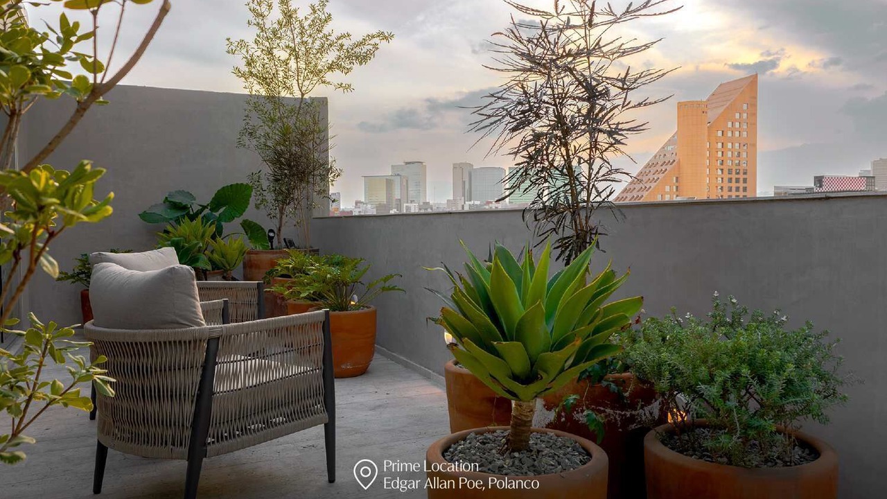 Photo of Patio Balcony in Miguel Hidalgo