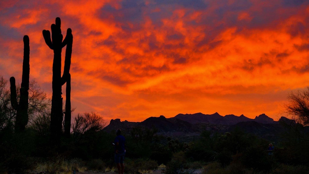 Photo of Others in Maricopa