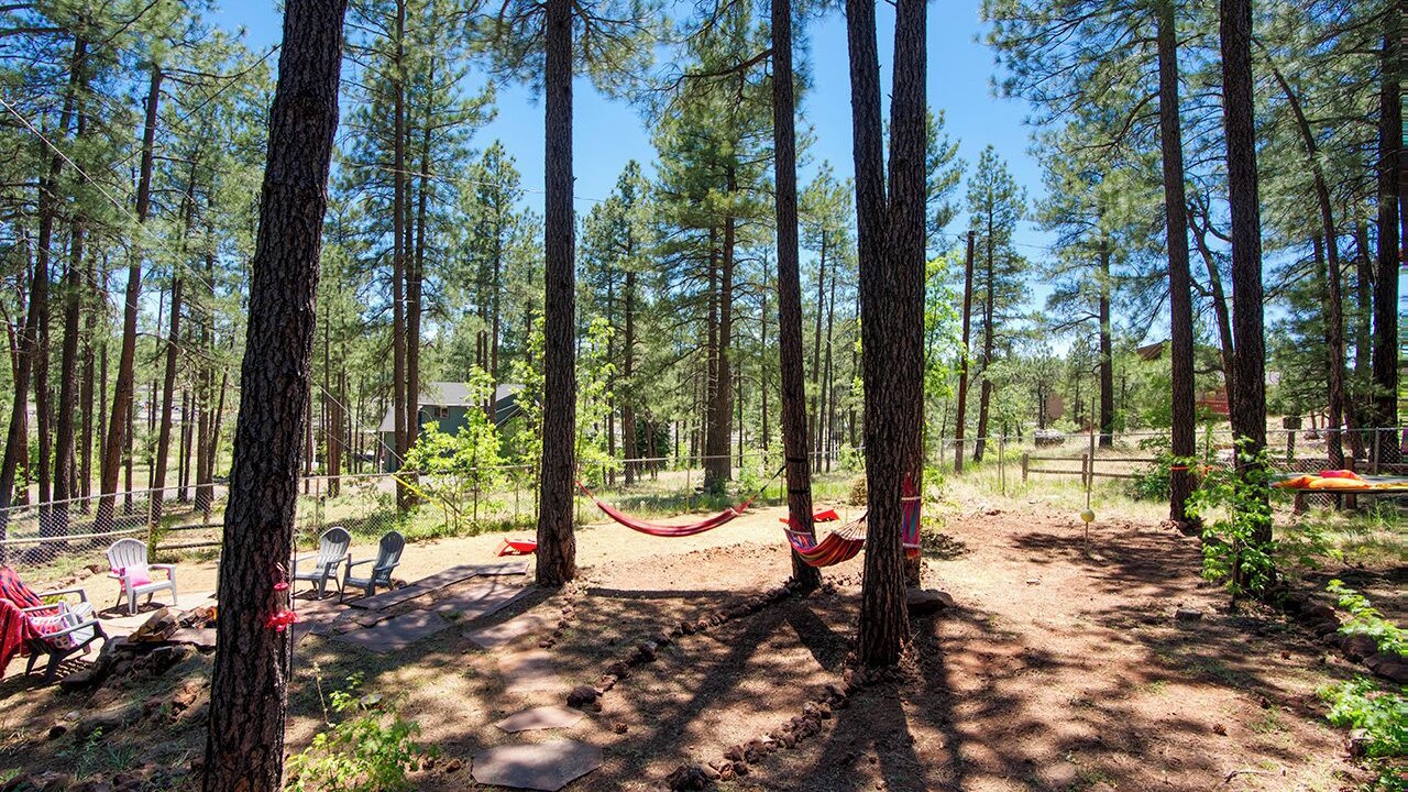 Photo of Outdoor in Munds Park