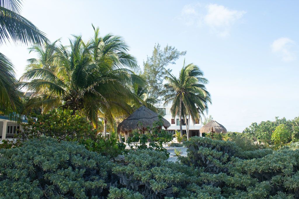 Photo of Outdoor in Merida