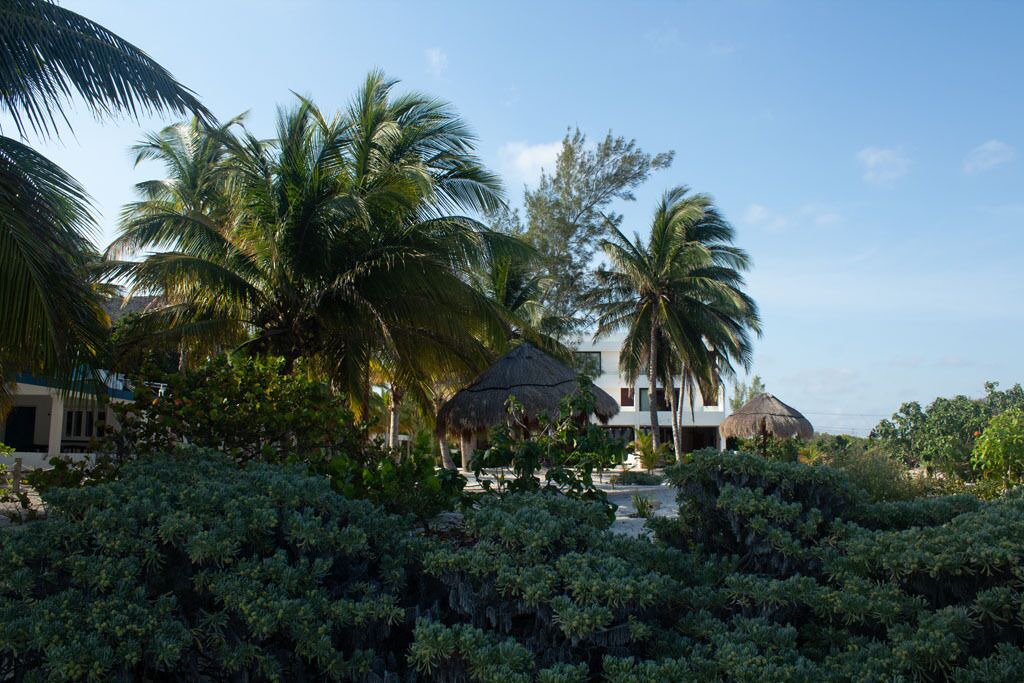 Photo of Outdoor in Merida