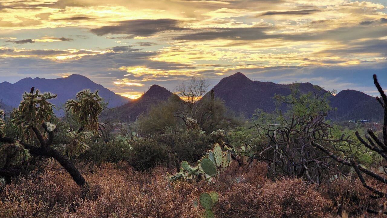 Photo of Others in Tucson Estates