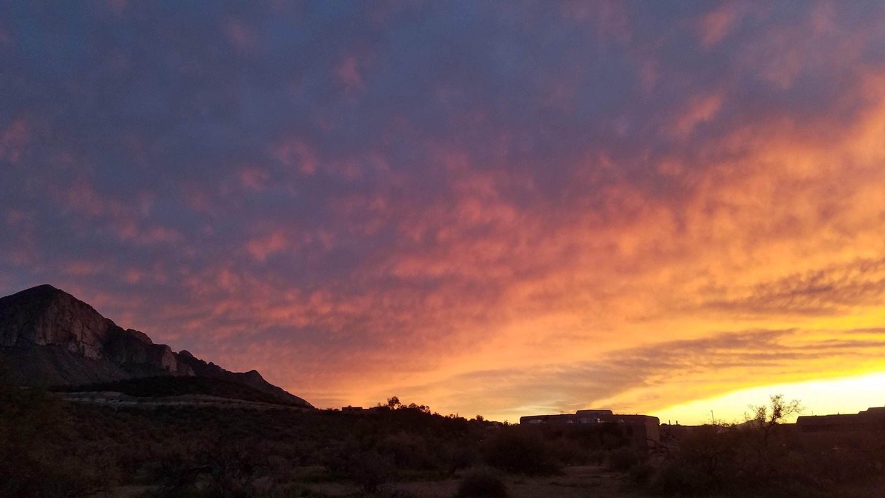 Photo of Others in Oro Valley