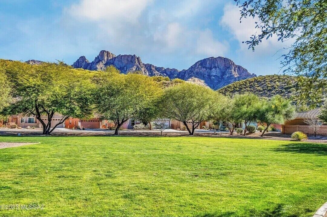 Photo of Others in Oro Valley