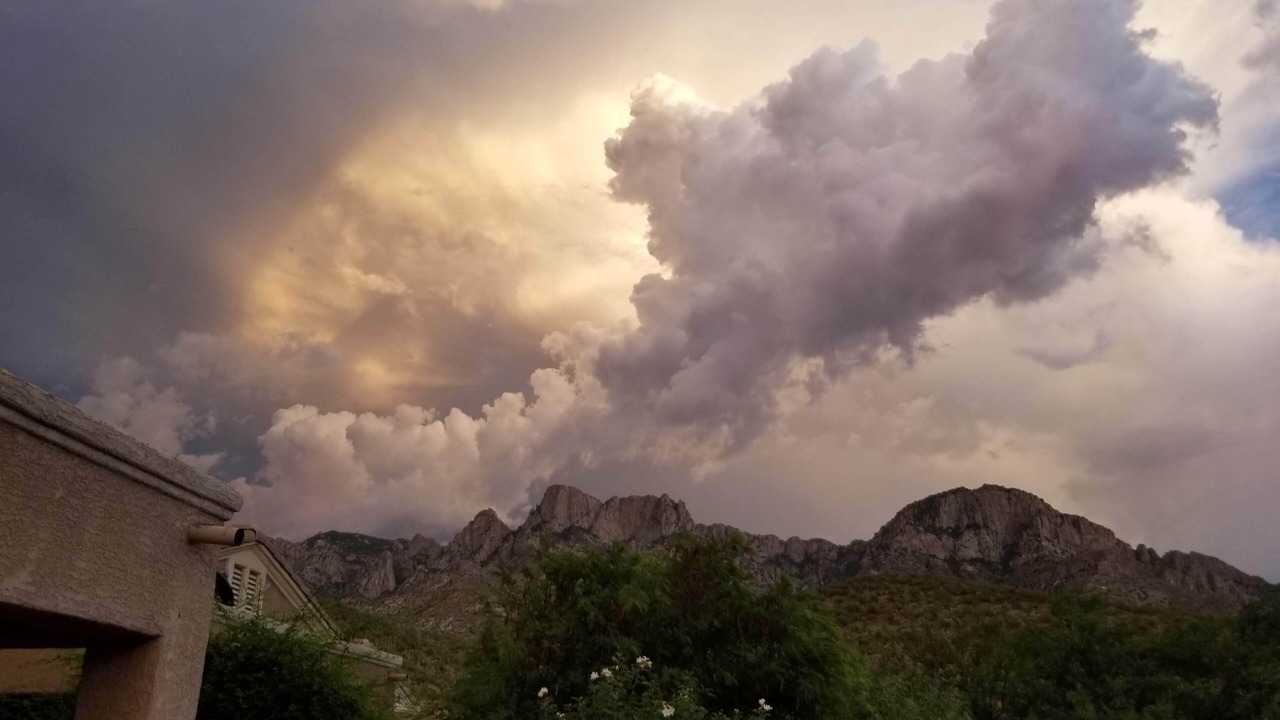 Photo of Others in Oro Valley