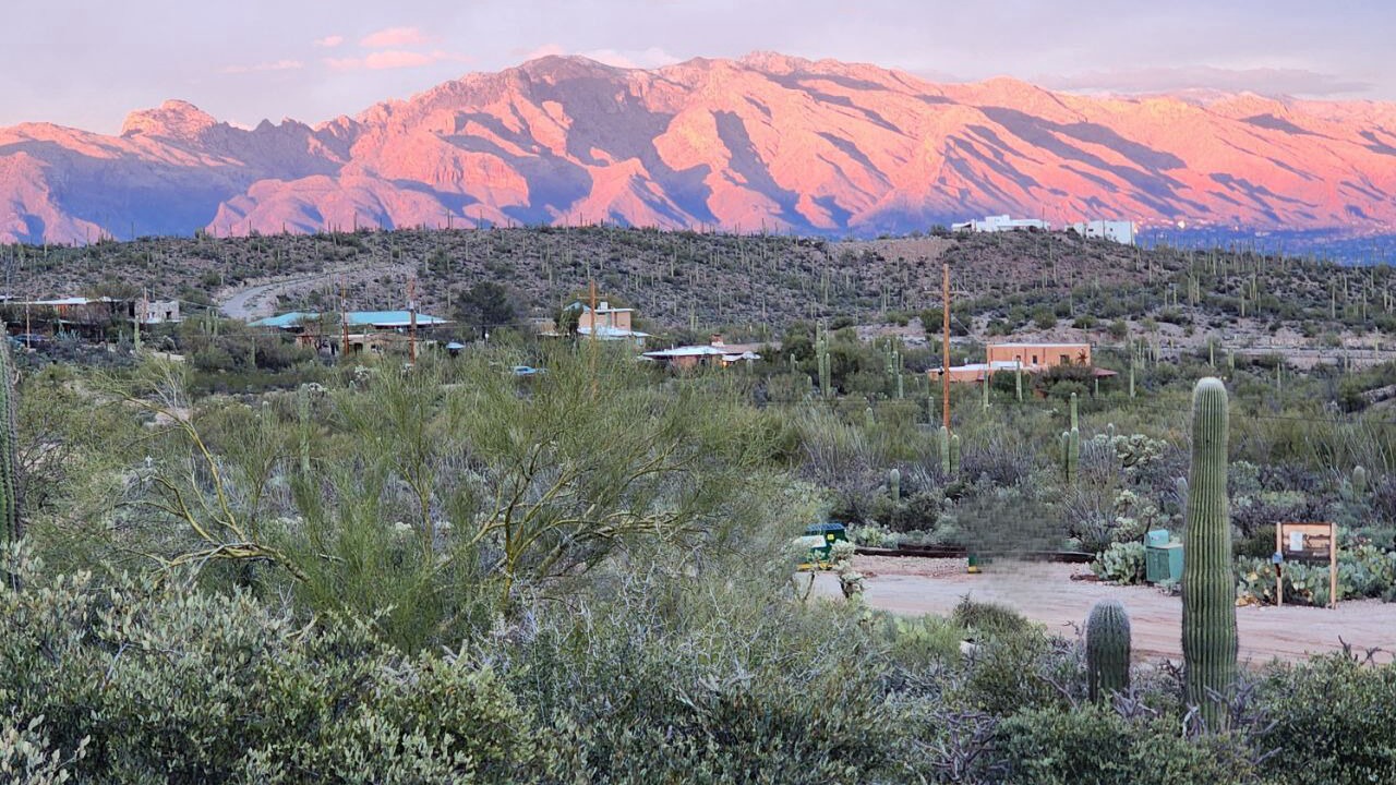 Photo of Others in Tucson
