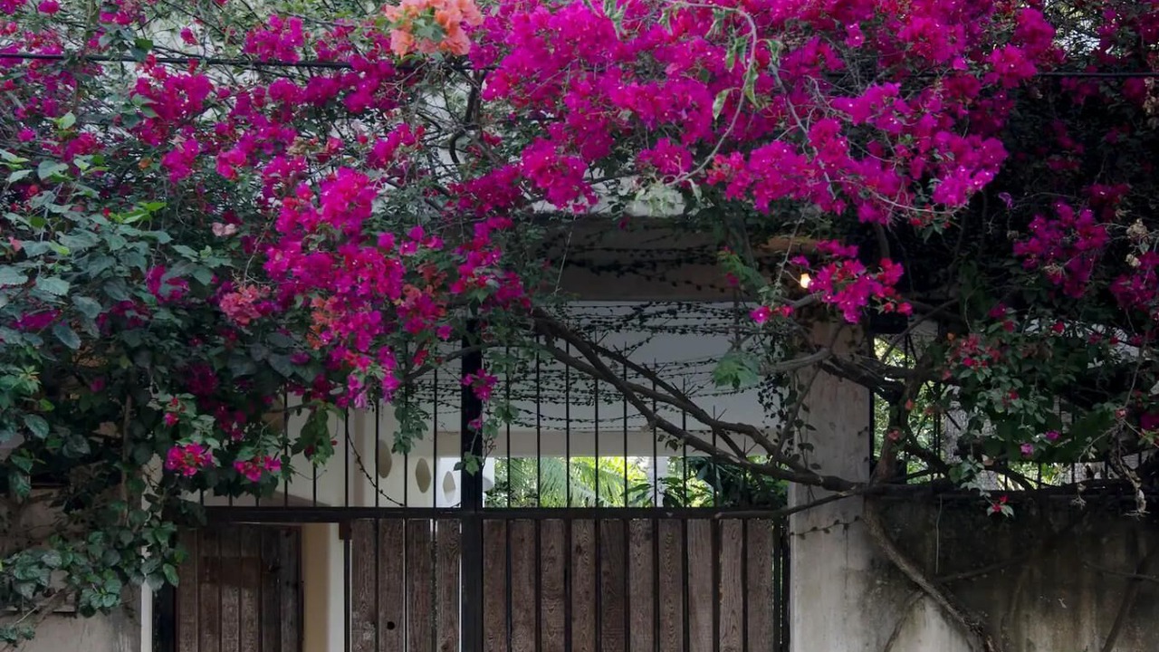 Photo of Outdoor in San Francisco