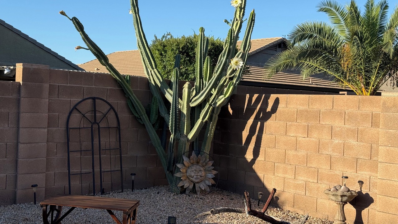 Photo of Outdoor in San Tan Valley