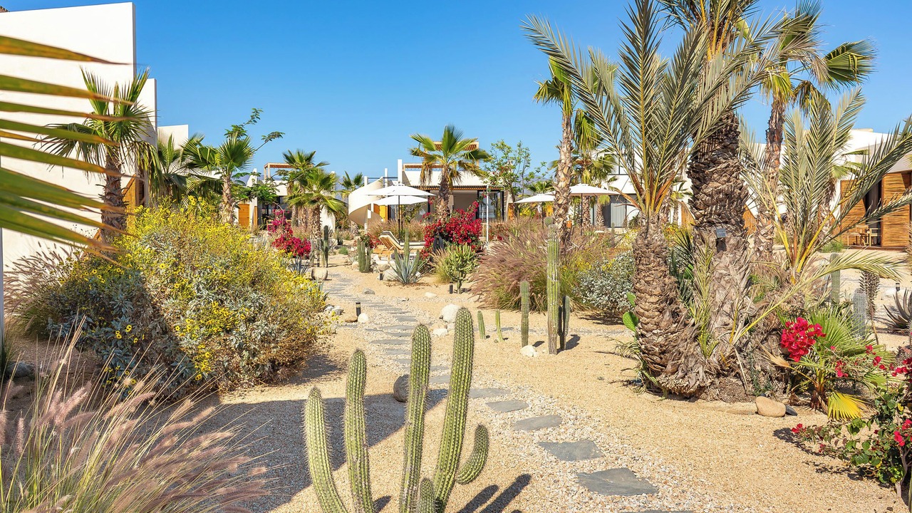 Photo of Outdoor in El Pescadero