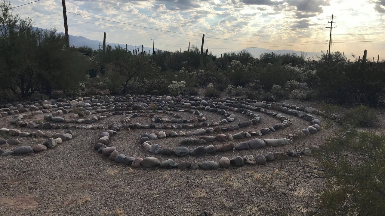 Photo of Others in Tucson