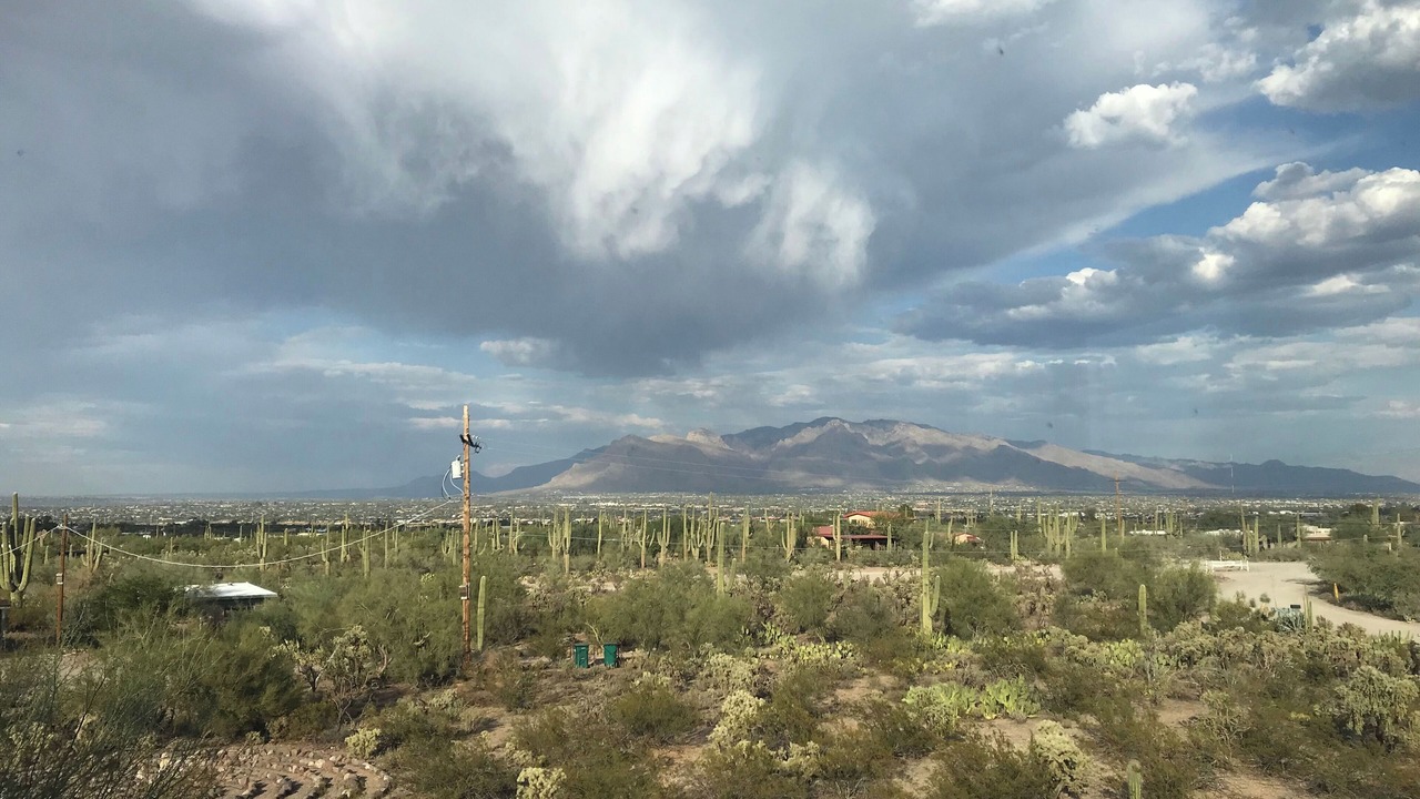 Photo of Others in Tucson