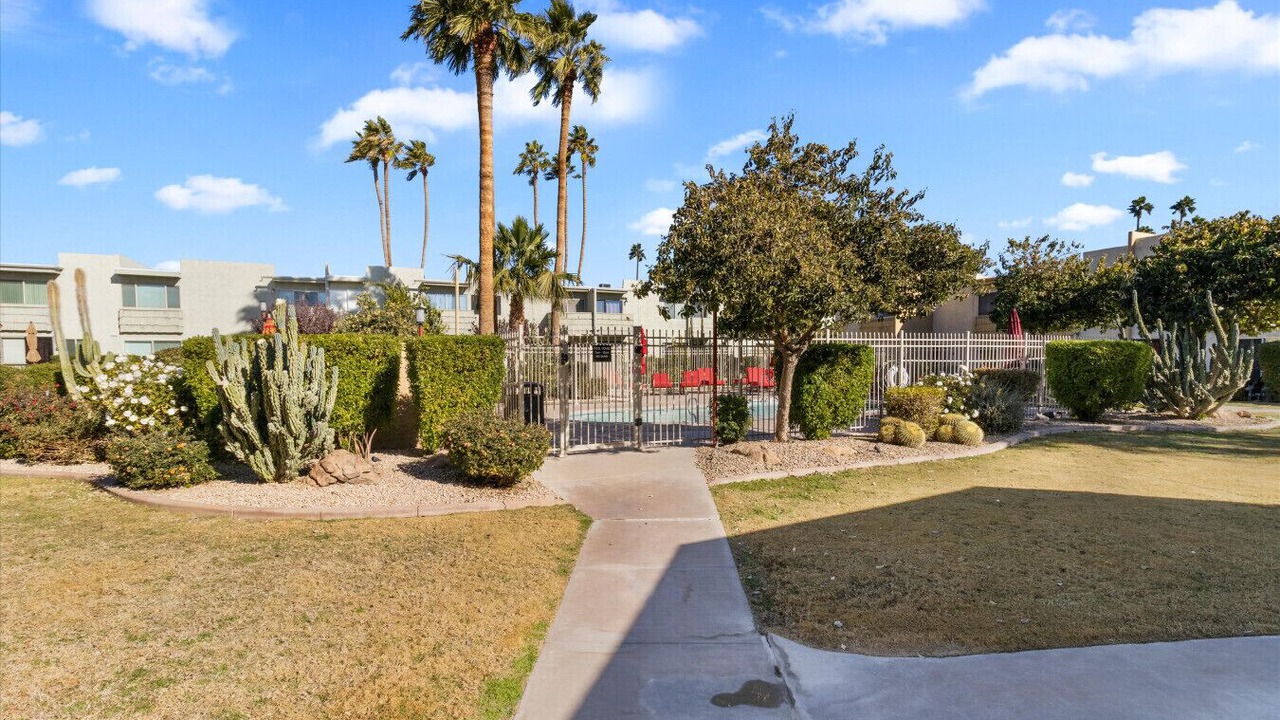 Photo of Outdoor in South Scottsdale
