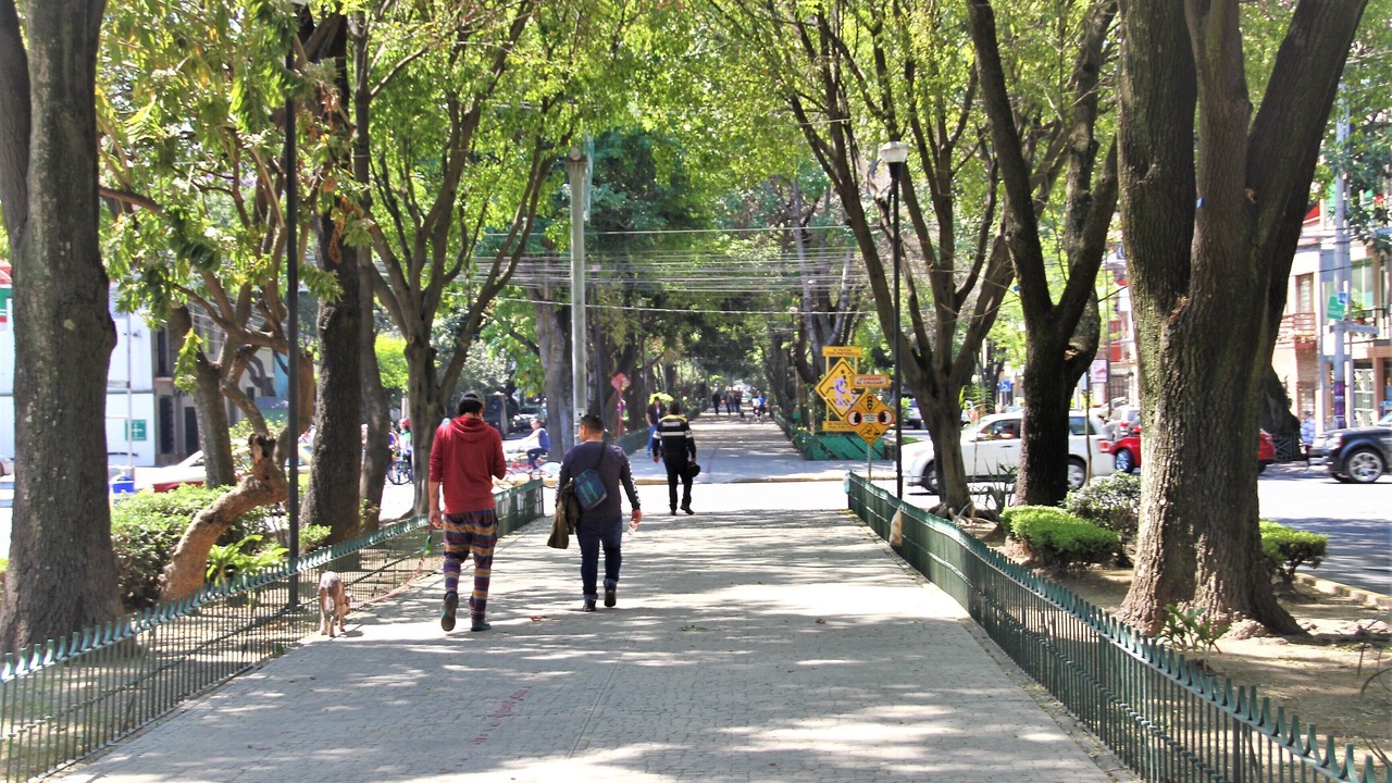 Photo of Others in La Condesa