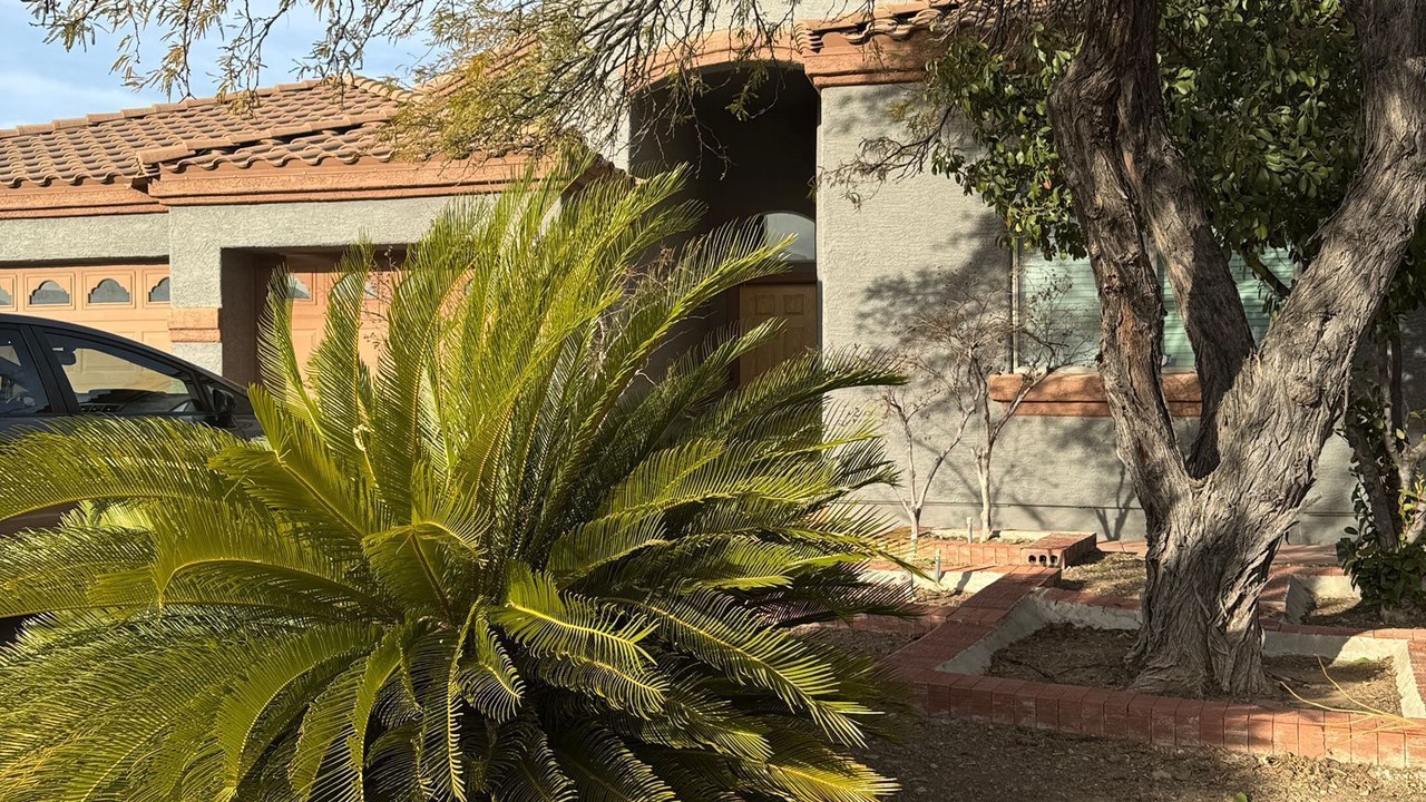 Photo of Outdoor in Tucson Mountain Sanctuary