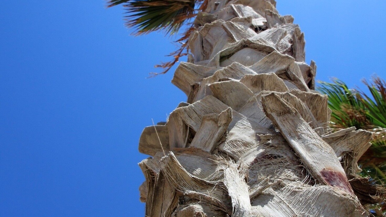 Photo of Outdoor in Las Conchas